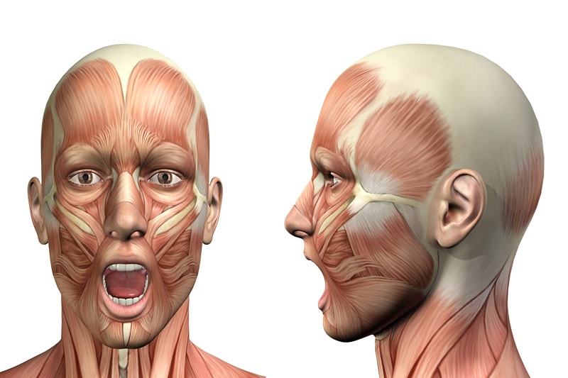 PNF facial muscle movement patterns